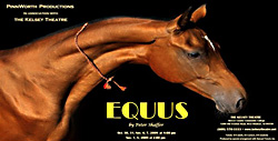 Equus